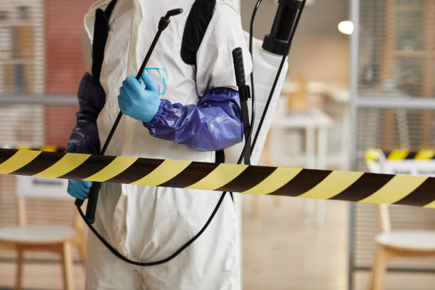 Professional Sewage Cleanup technician working in Kearney, NE